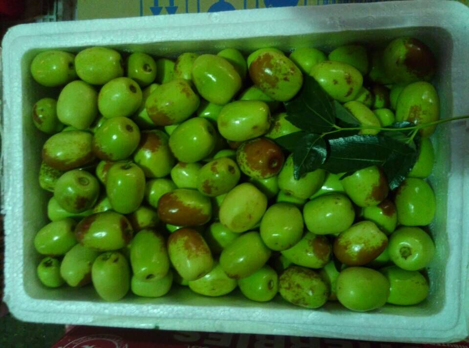 店铺d8:云南冰糖枣