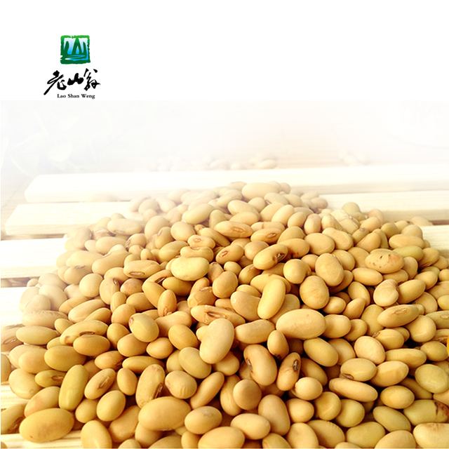 【会员福利】黄豆传承丨几百年没有变种的老黄豆