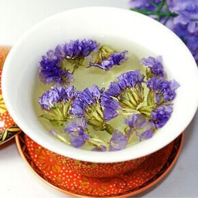 花茶【勿忘我】