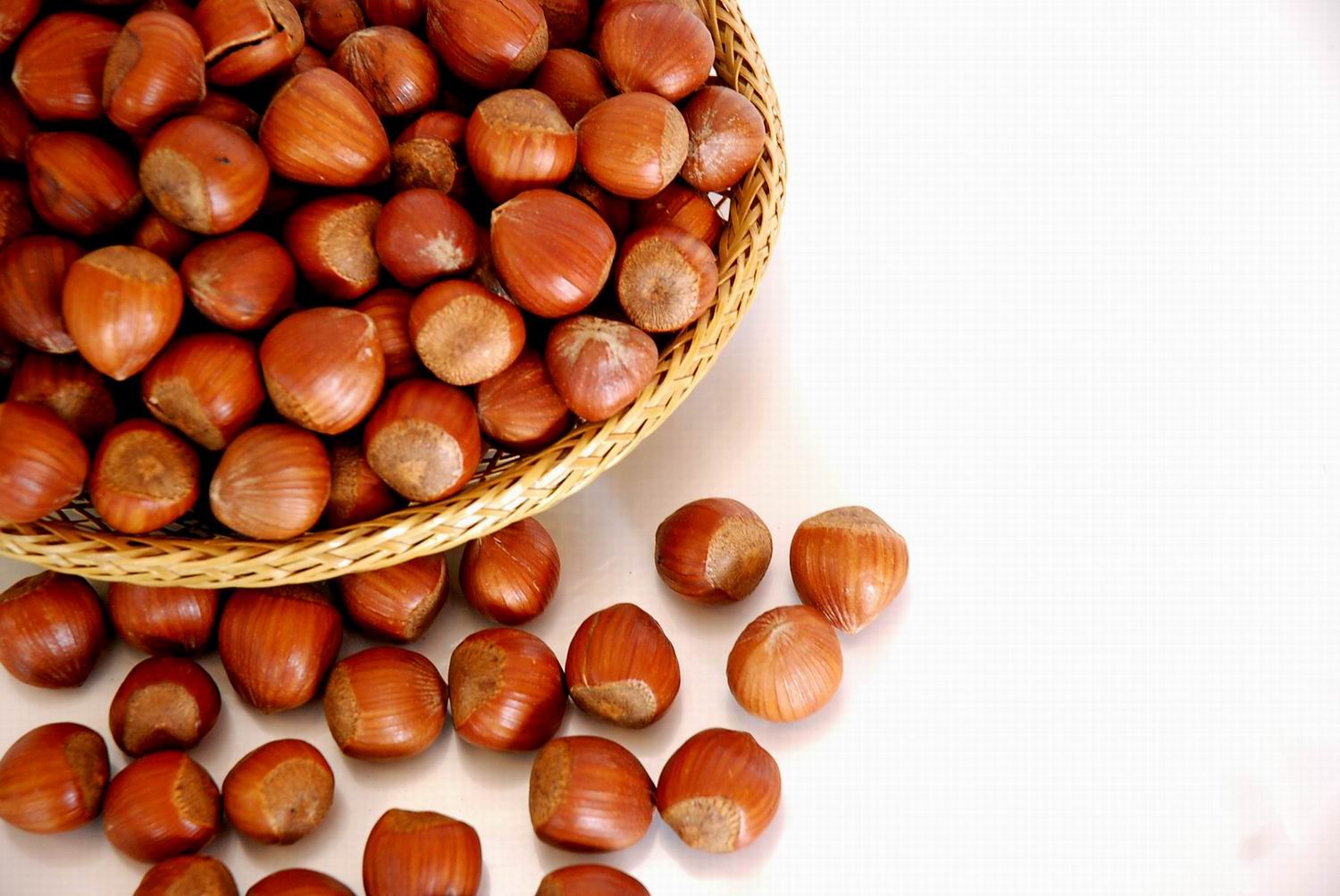 虎妞食品 大兴安岭 野生榛子 榛子批发 榛子250g包邮