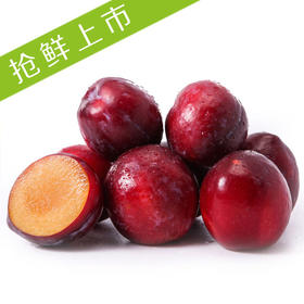 智利珠宝李 500g