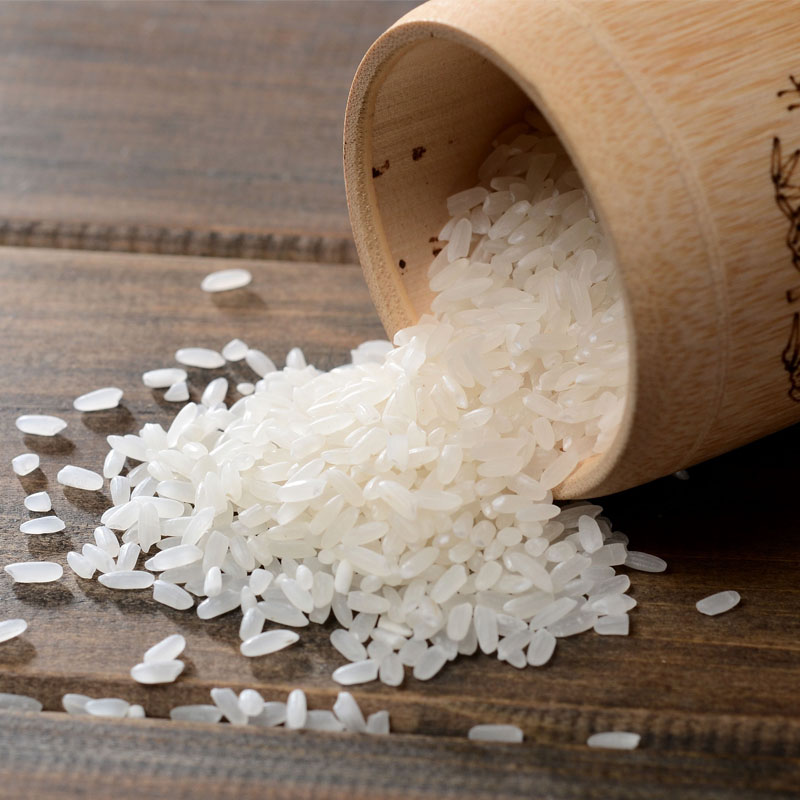 【预订】西江贡米10月新米