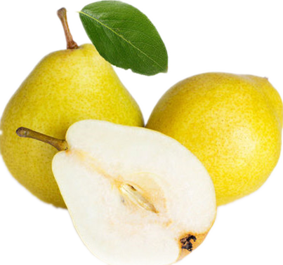 【烟台太婆梨】 茄梨 1斤装