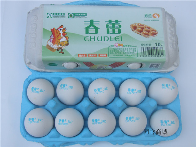 10枚春蕾白壳鸡蛋
