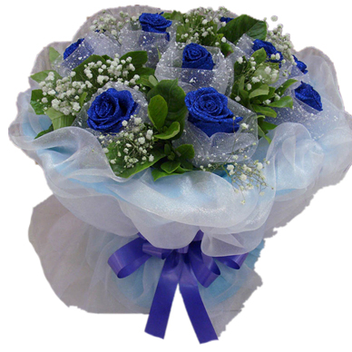 11朵蓝色妖姬花束
