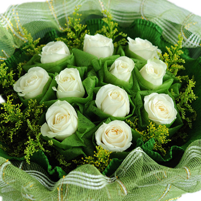 11朵白玫瑰花束