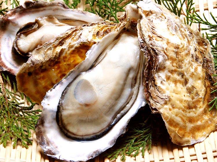 刺身广岛生蚝(每个)