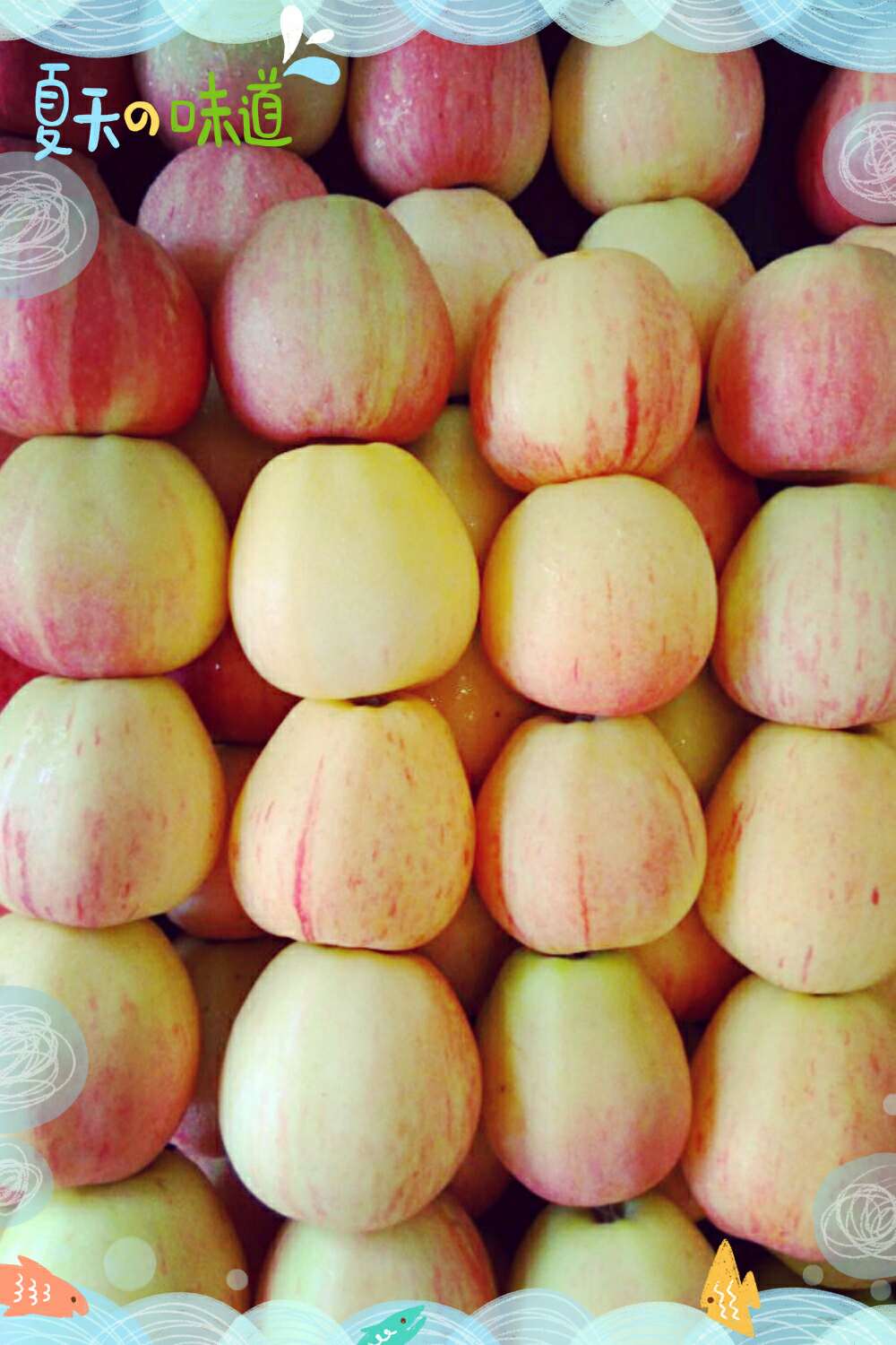 嘎啦果(每斤单价)