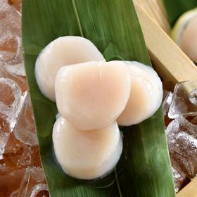 加拿大刺身带子(10-20头)