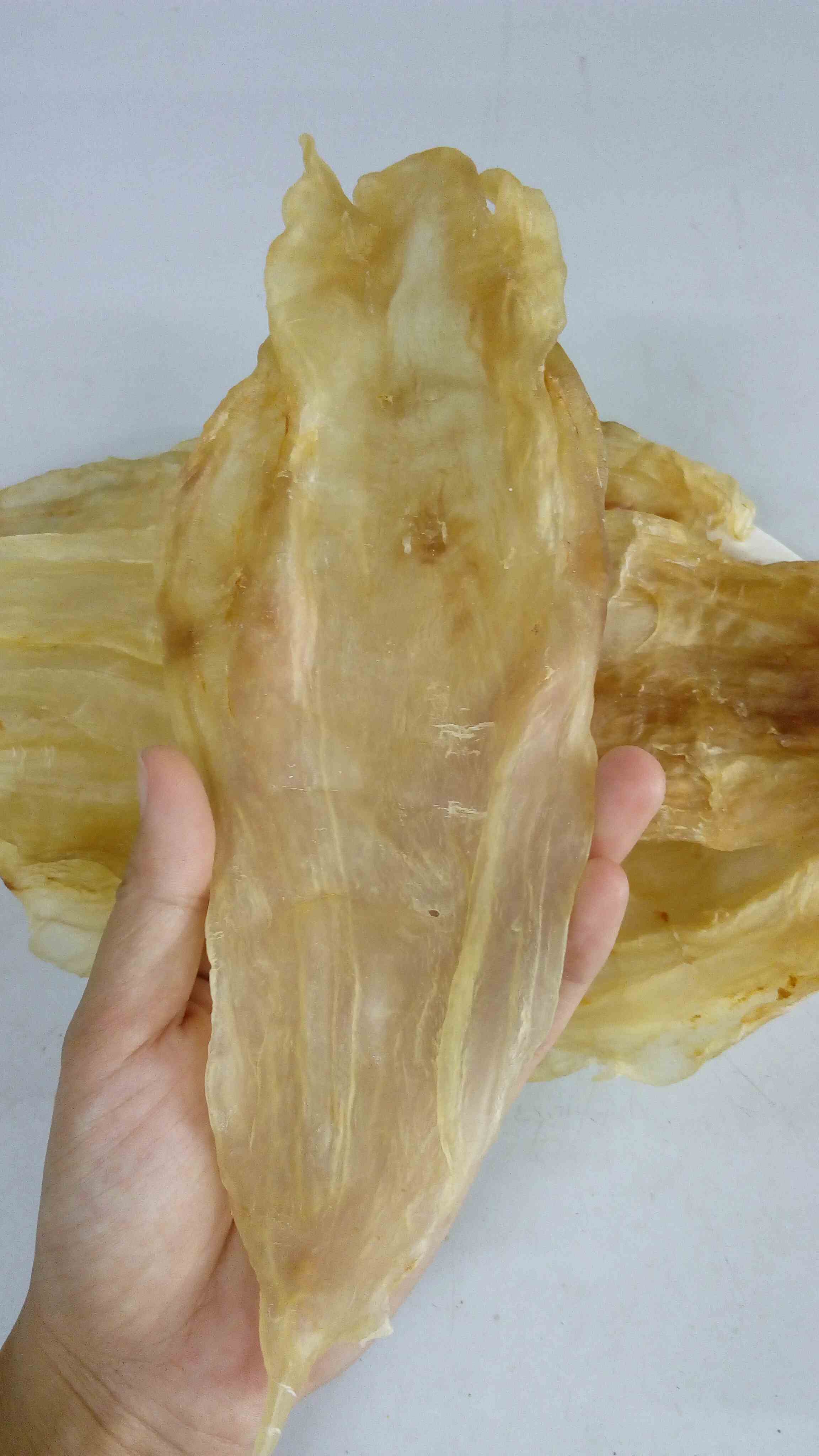 中鳘鱼膘(一斤)