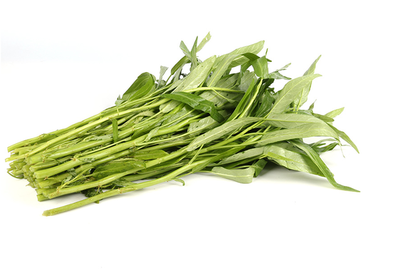 青通菜,白通菜,油麦菜的(第16页)_大山谷图库