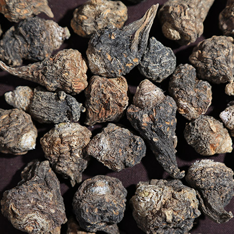 玛卡干果 丽江黑玛卡马卡玛咖maca干果干片 秘鲁引种