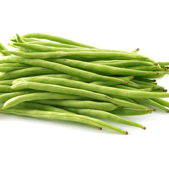 豆王,玉豆,茄王(第4页)_大山谷图库