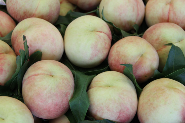 【9元/500g】龙泉晚蜜桃