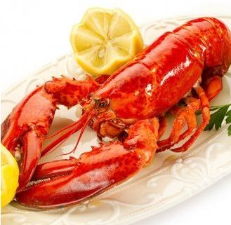 波士顿龙虾 约650g/只 商品图0