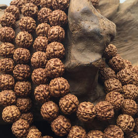 爆肉盘龙纹1.1mm金刚菩提子120粒