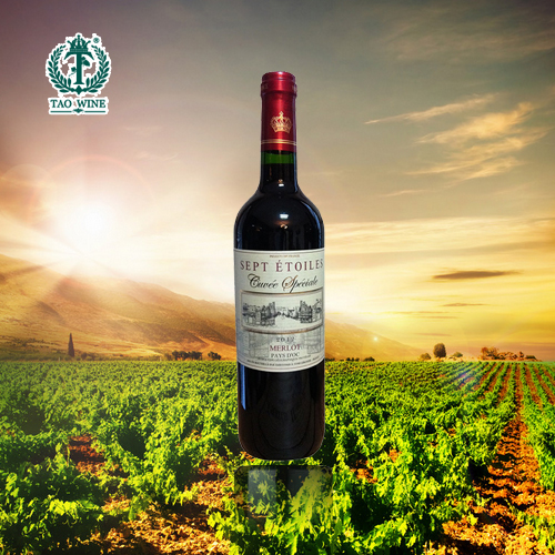 凯旋高卢.七星干红葡萄酒 domaine des7 ecluses 单只