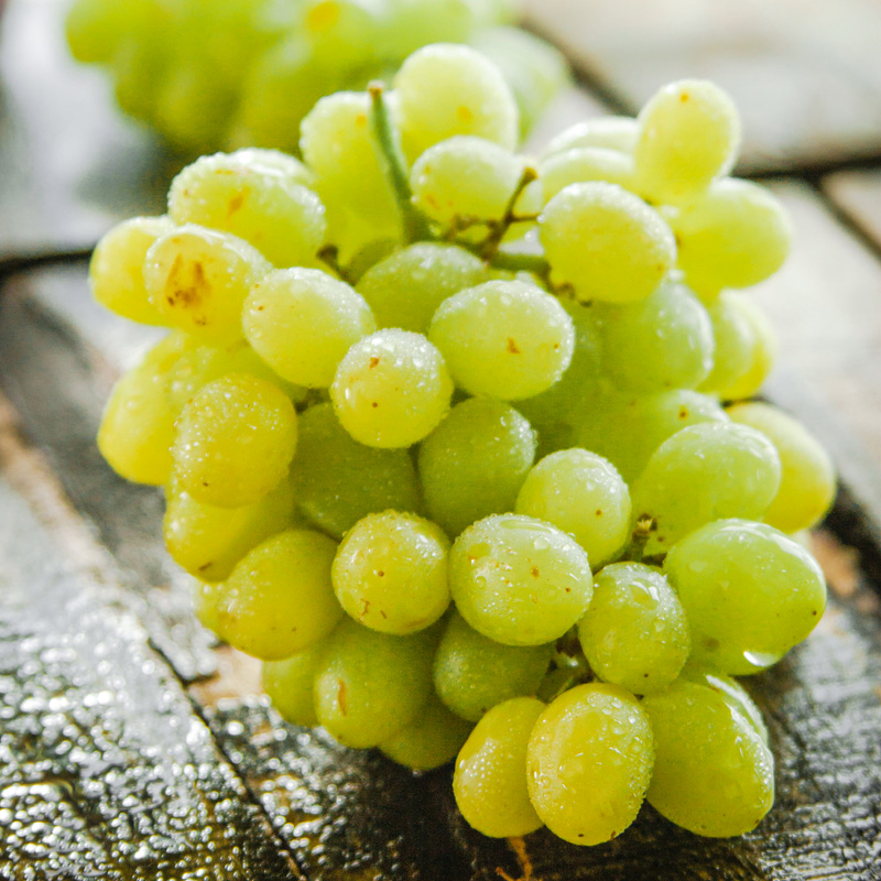 新疆新鲜提子,甜蜜尝鲜