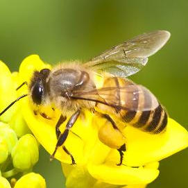 漳州鑫农夫200508