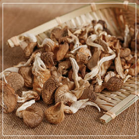 有家农社秀珍菇 古田秀珍菇野生食用菌干货土特产