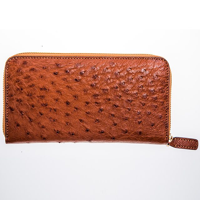 鳄湃 高档时尚鸵鸟皮钱包手拿包