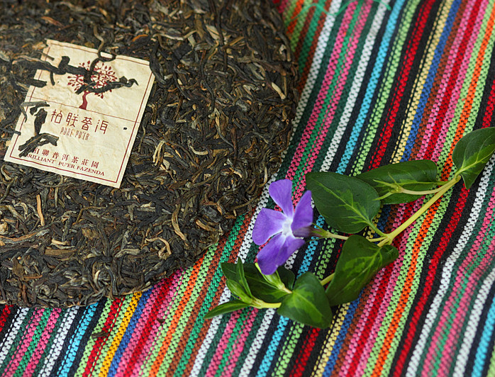 柏联普洱 风情系列 357g 普洱茶生茶饼