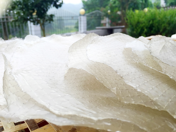 红薯地瓜粉皮粉条粉丝凉粉凉皮大拉皮干货500g