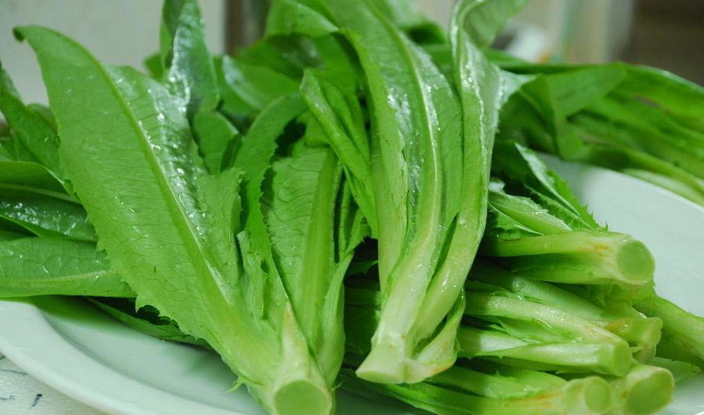 油麦菜500g 生食蔬菜之上品,鲜嫩清香 .