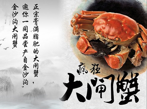 【2.5两母 3.5两公】