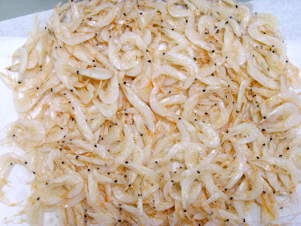 虾米500g 虾营养丰富,含蛋白质是鱼,蛋,奶的几倍到几十倍;还含有丰富