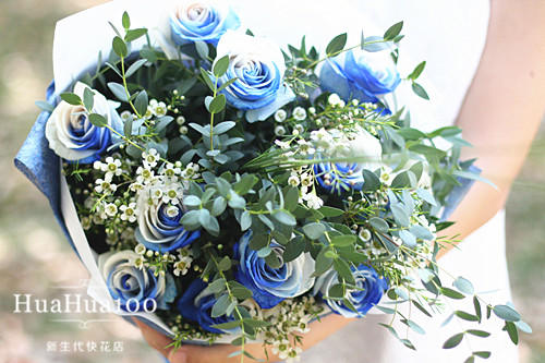 暖风丨11朵进口蓝玫瑰 商品图1
