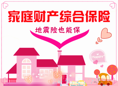 家庭财产综合保险