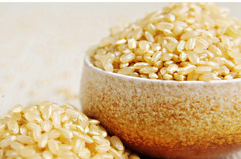 易久有机糙米胚芽米400g五谷杂粮无农残无污染