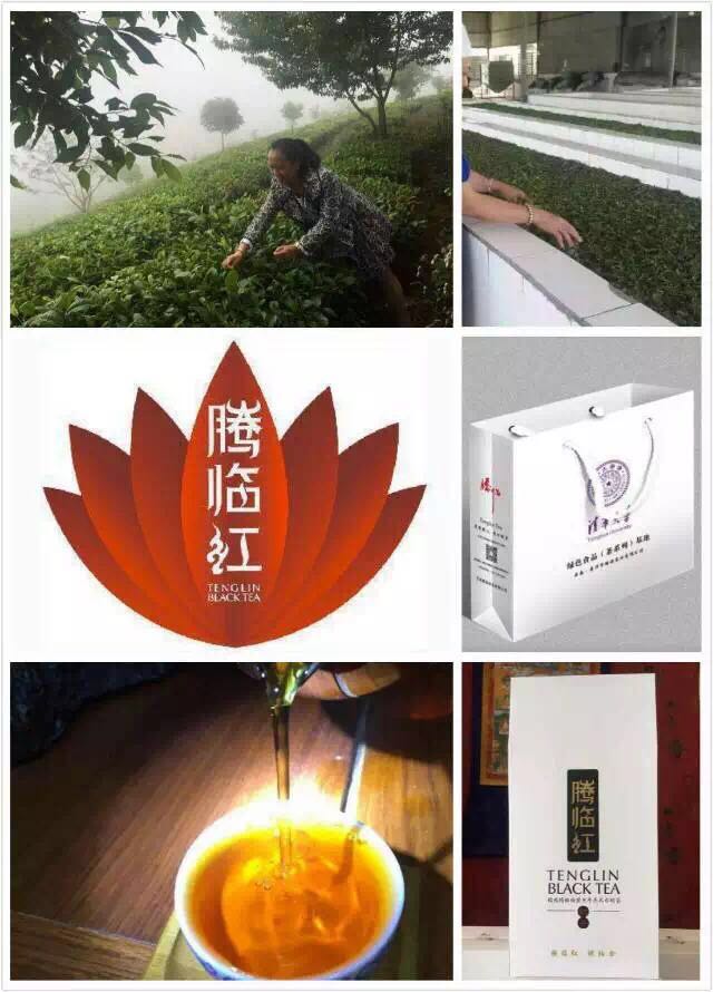 腾临红·琥珀金 特种滇红