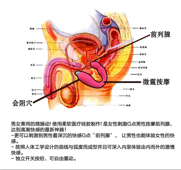 爱巢取悦 振动前列腺