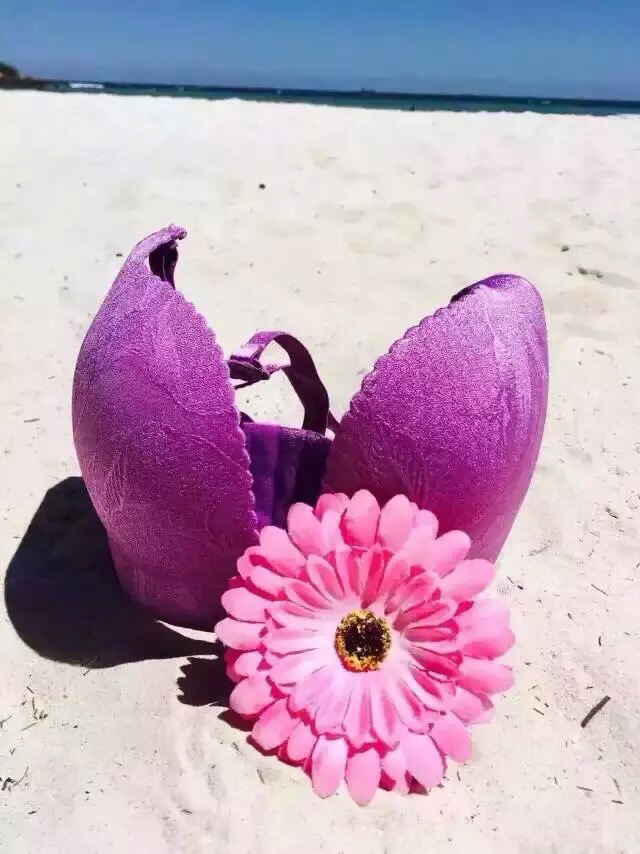 台湾若曼莎rimensa健康无钢圈调整内衣?