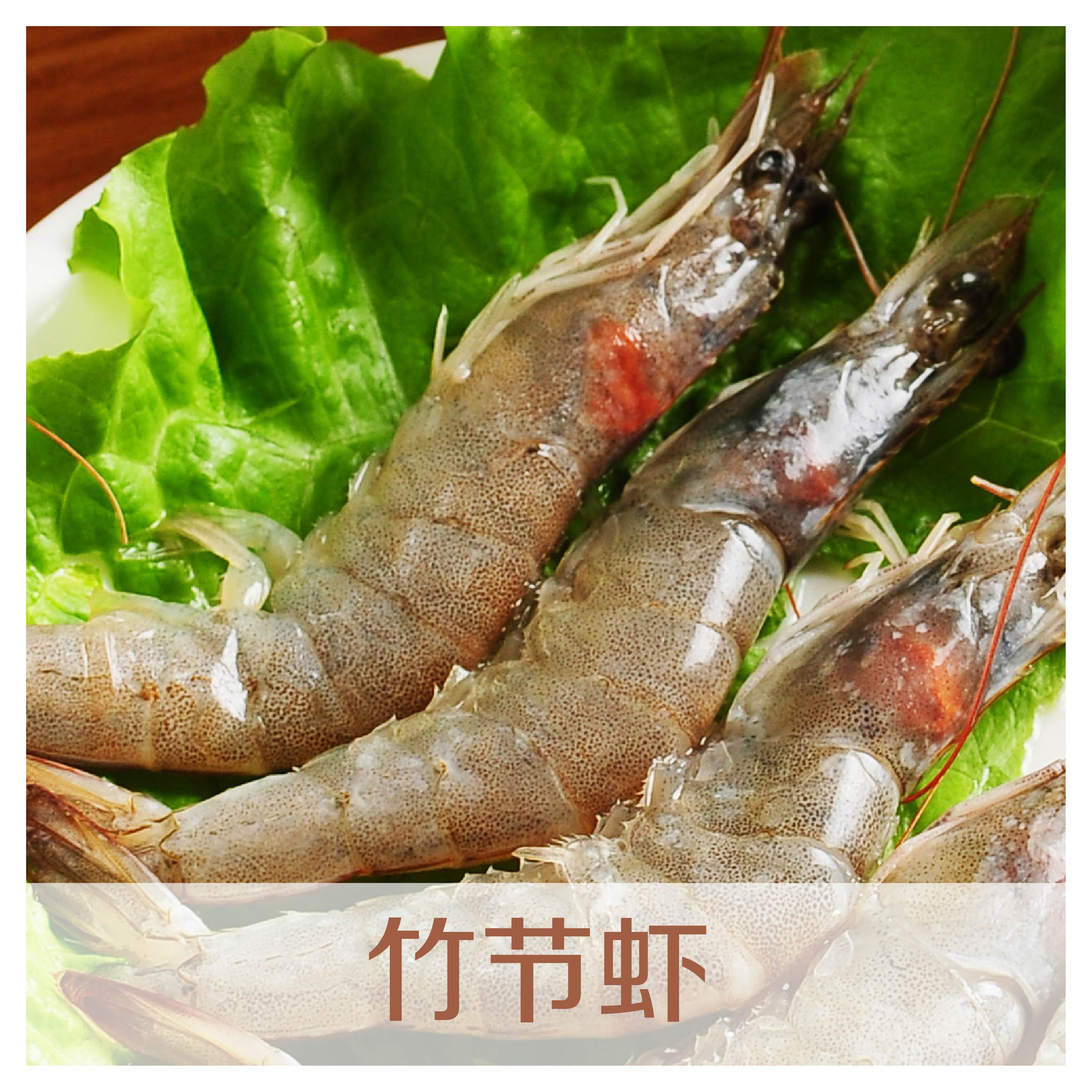 舟山竹节虾(500克/10只以内)