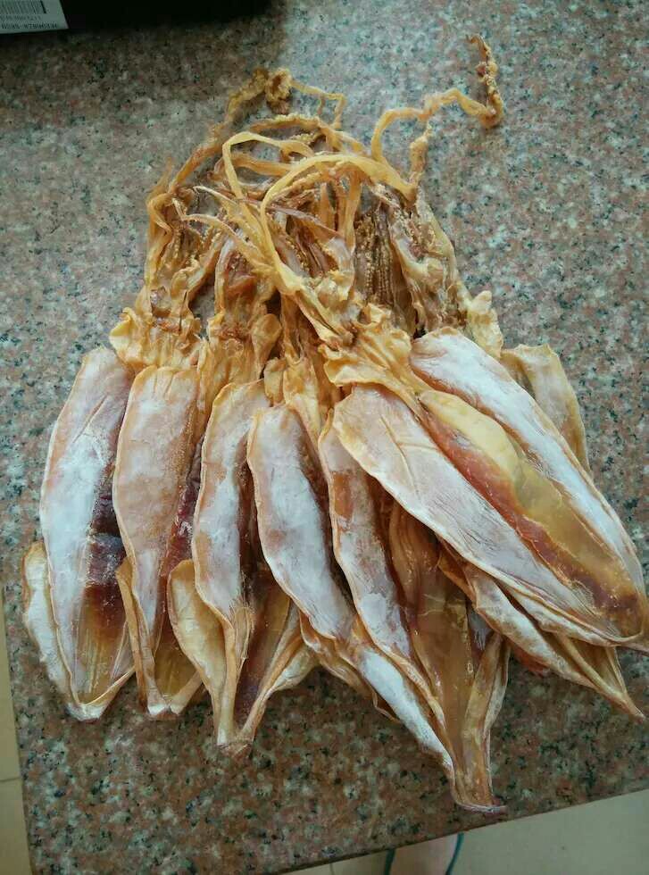 小乍正宗鱿鱼母