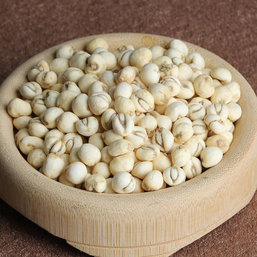 四川 特级 川贝母 1g