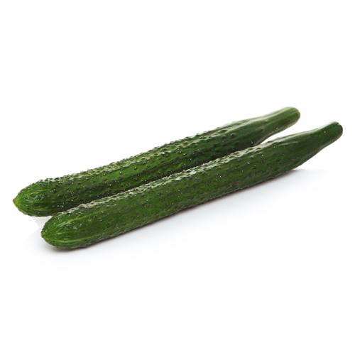 爽甜青瓜 产自广东清远