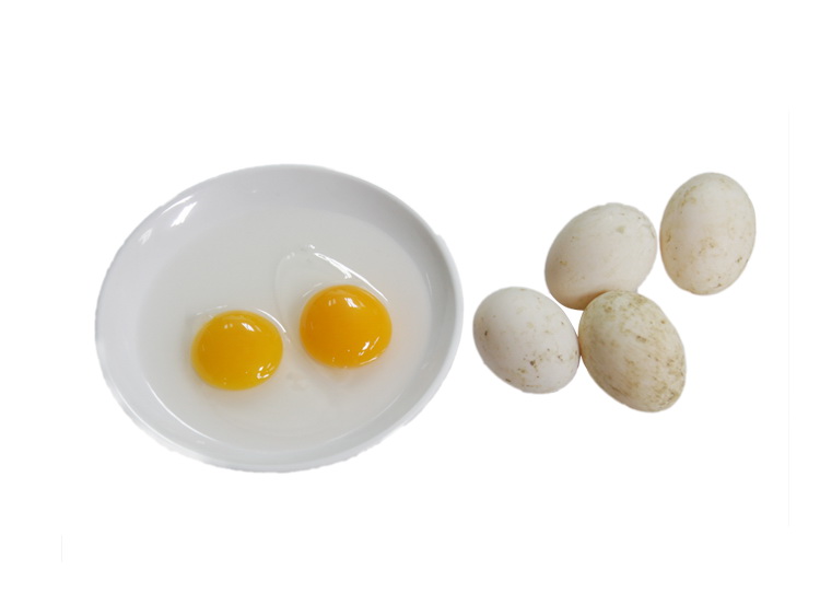 【连城特产】黑丫头连城白鸭蛋 无腥味更营养 福建全省包邮