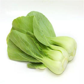 绿佳精选油白菜5元/公斤(购买时重量及总价以收货为准)