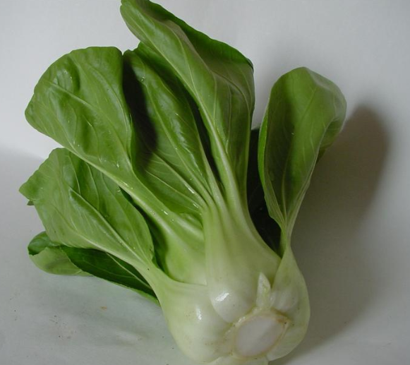 301上海青约500克