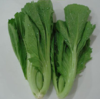301本地芥菜约500克 商品缩略图0