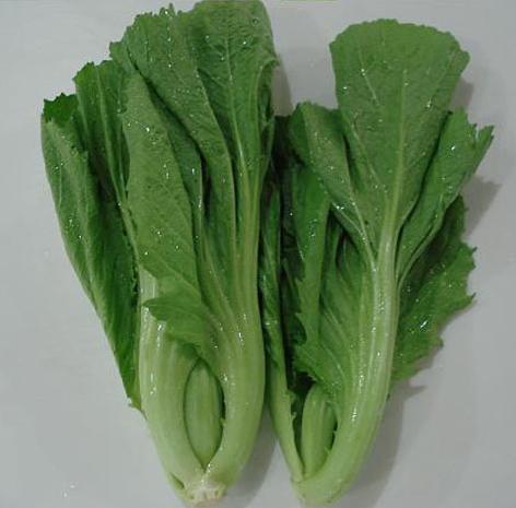 301本地芥菜约500克 商品图0