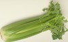 203精品西芹约500克1份 商品缩略图0