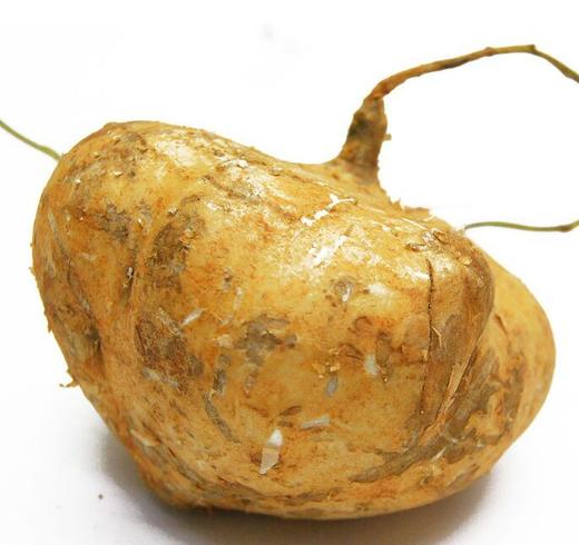 108沙葛 约650克至750克1份 商品图0