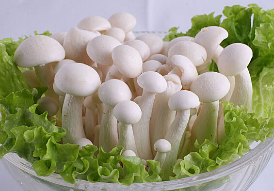 白玉菇(一袋约0.25斤)按数量销售.