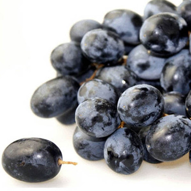 进口黑加仑 - 吴家水果生鲜超市店