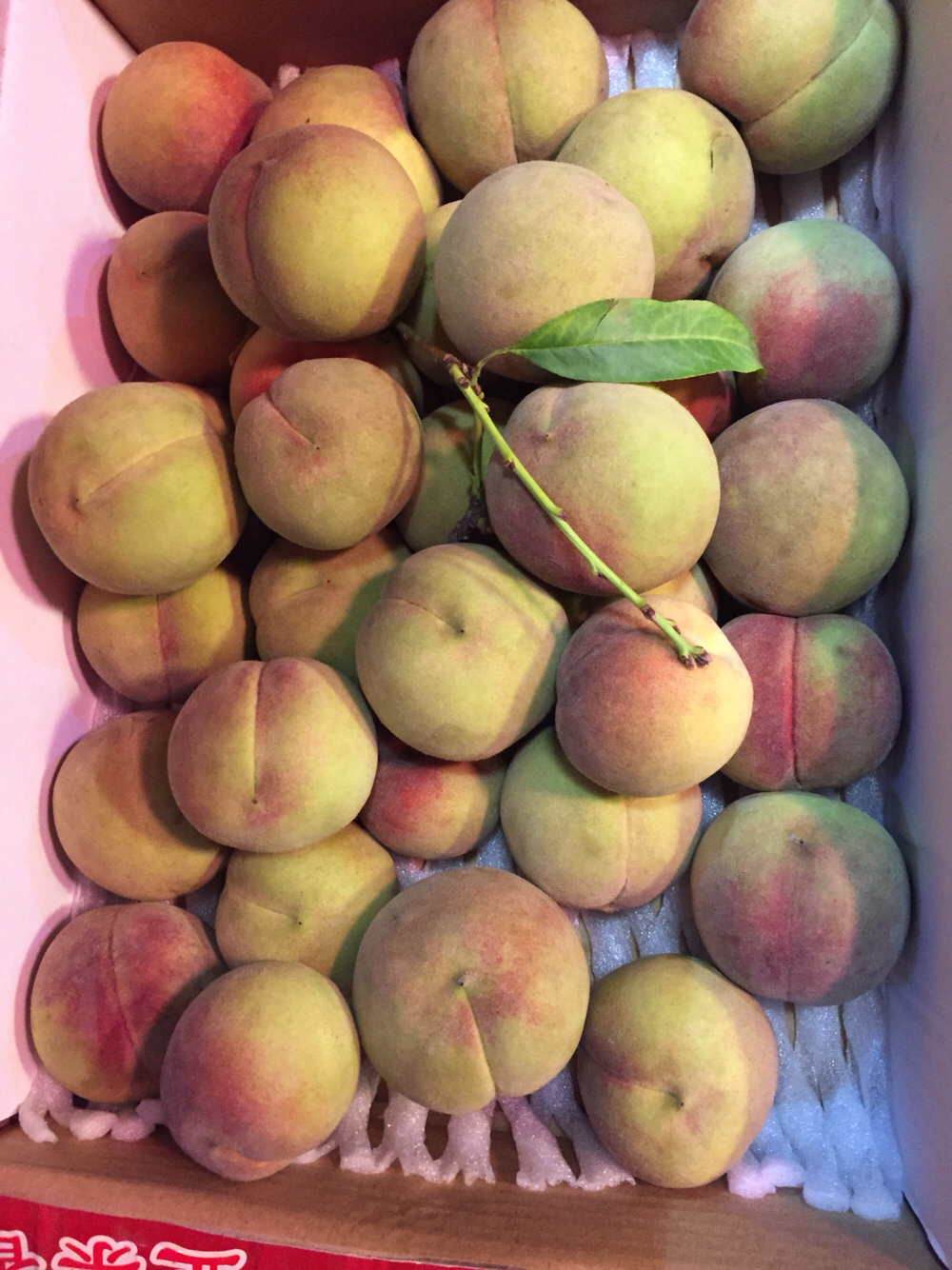 新疆天山雪桃脆甜爽口净重5斤(包邮)